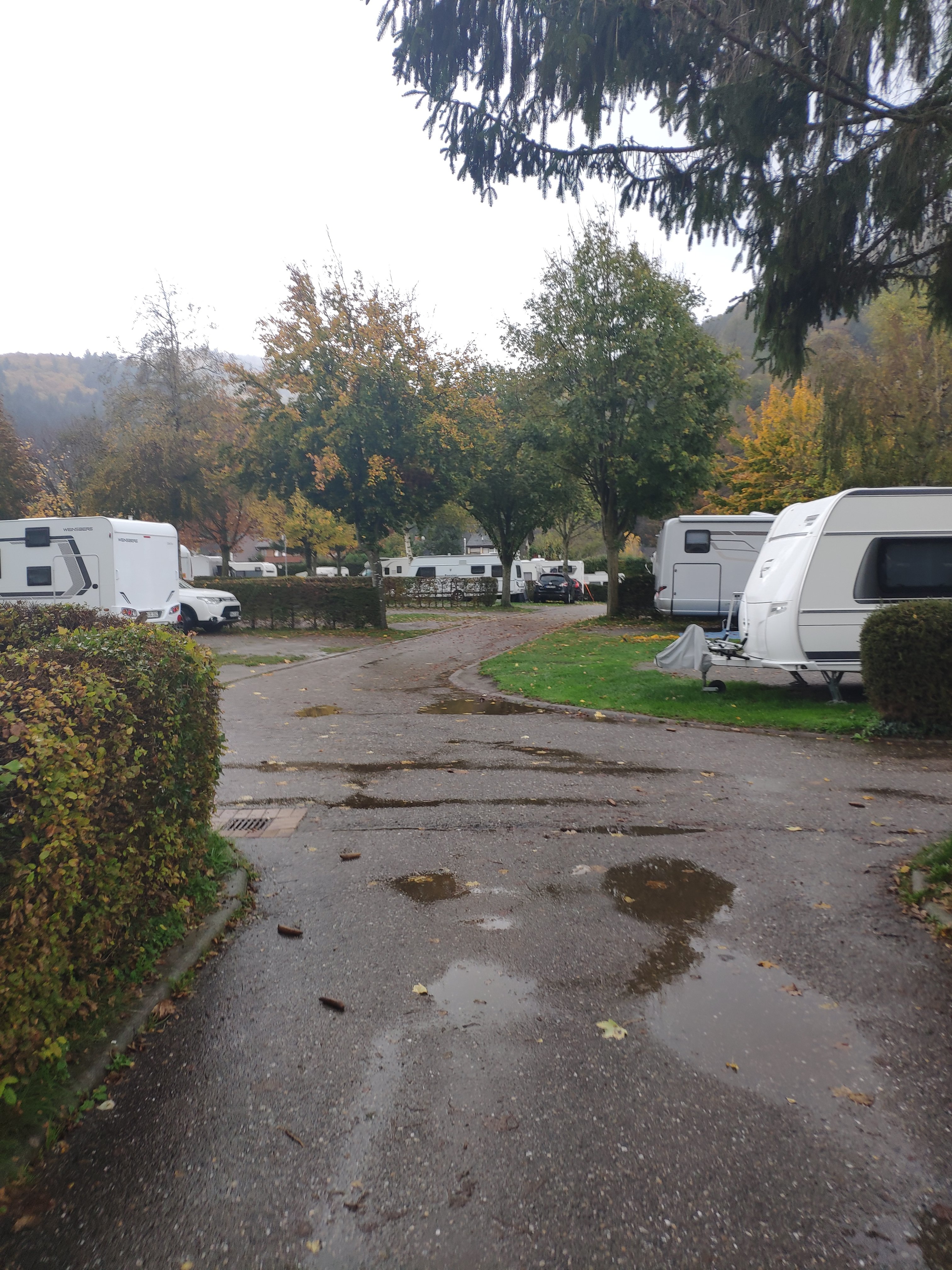 Camping Münstertal - Mucki-on-the-Road